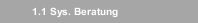 1.1 Sys. Beratung