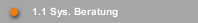 1.1 Sys. Beratung