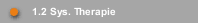 1.2 Sys. Therapie